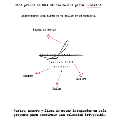 📁Project Nº62: "Chick".